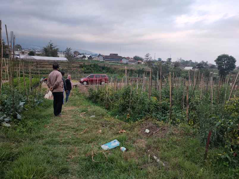 tanah luas dan murah subur cocok untuk bisnis di batu