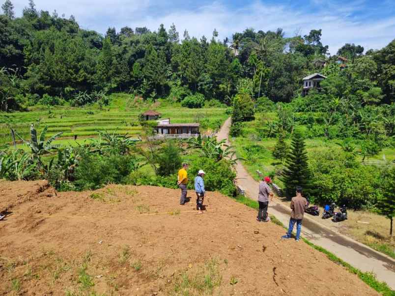 tanah megamendung puncak bogor