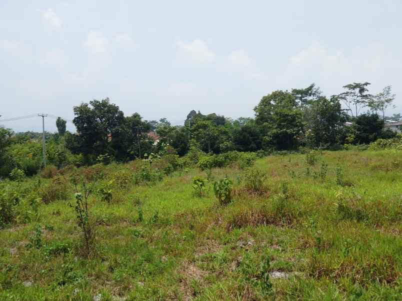 tanah murah ciater subang