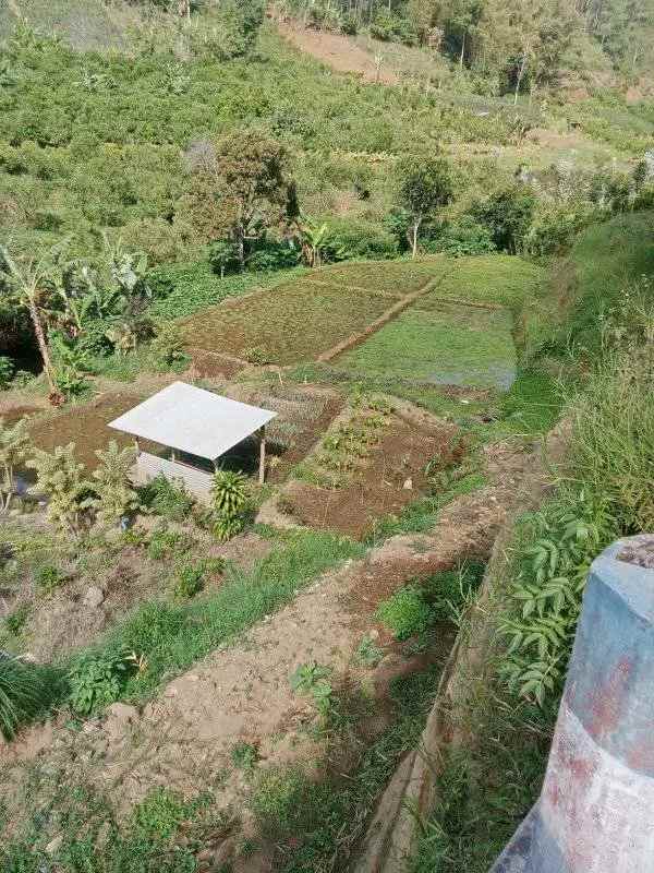 tanah plus sumber air bumiaji batu madewo apples