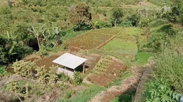 tanah plus sumber air bumiaji batu madewo apples