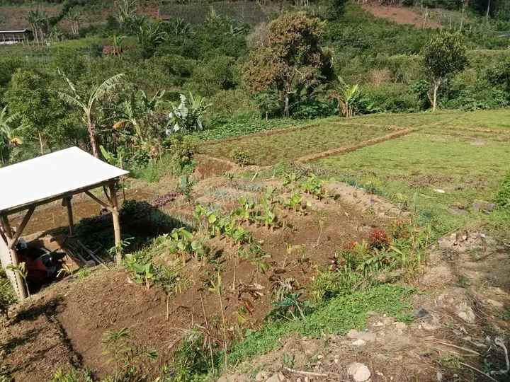 tanah plus sumber air bumiaji batu madewo apples