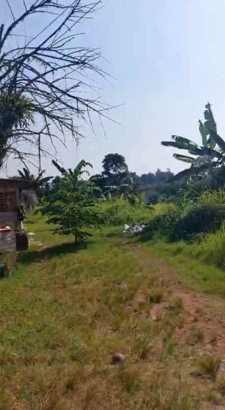 tanah shm kota bogor harga njop akses mobil