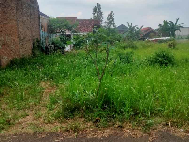 tanah siap bangun ri rajabasa luas 150m shm