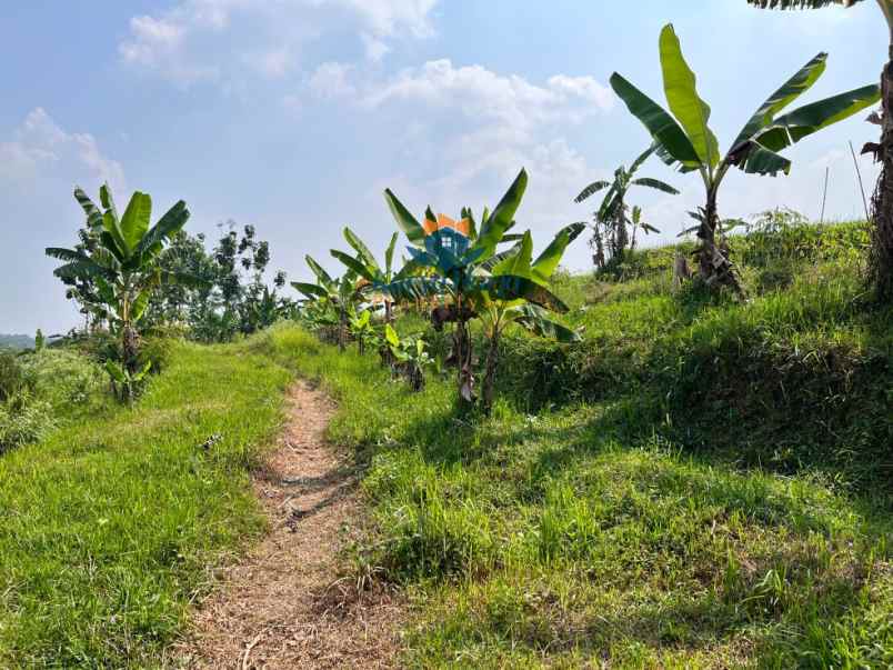 tanah strategis 1jt m karangpandan karanganyar