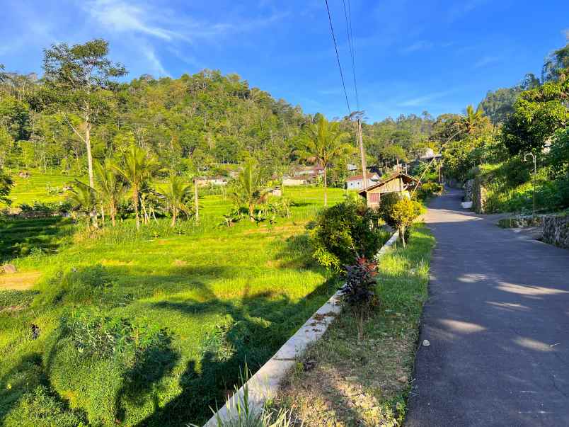 tanah strategis 605m tawangmangu karanganyar