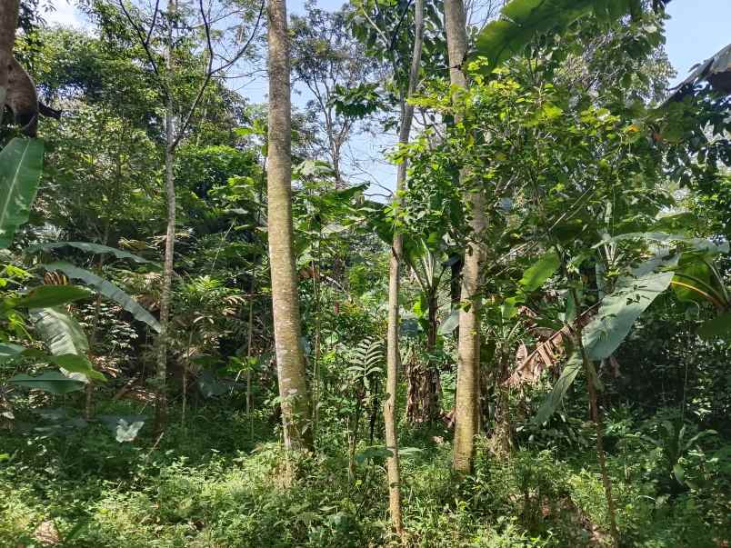 tanah strategis daerah ciater subang jawa barat