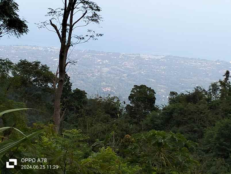 tanah view laut dekat munduk dan wanagiri bali