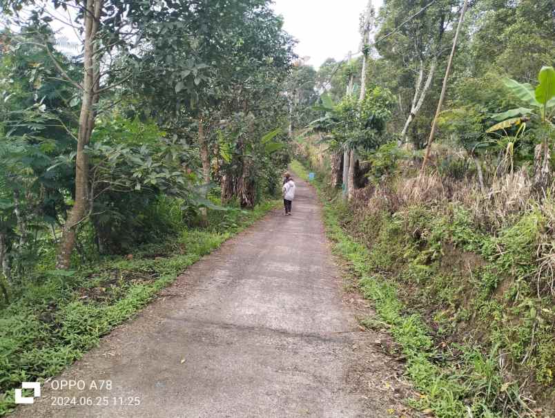 tanah view laut dekat munduk dan wanagiri bali