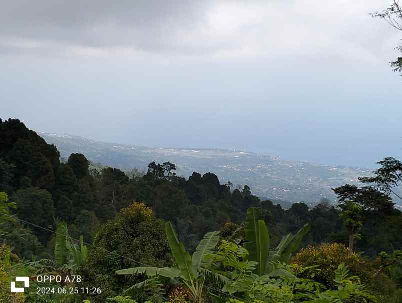 tanah view laut dekat munduk dan wanagiri bali