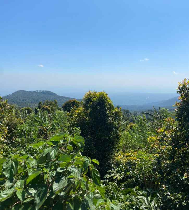 tanah view lembah dan laut dekat munduk heaven bali