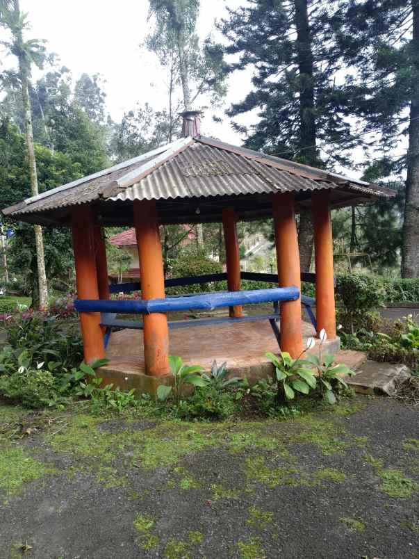 villa puncak dijual dekat istana negara cipanas