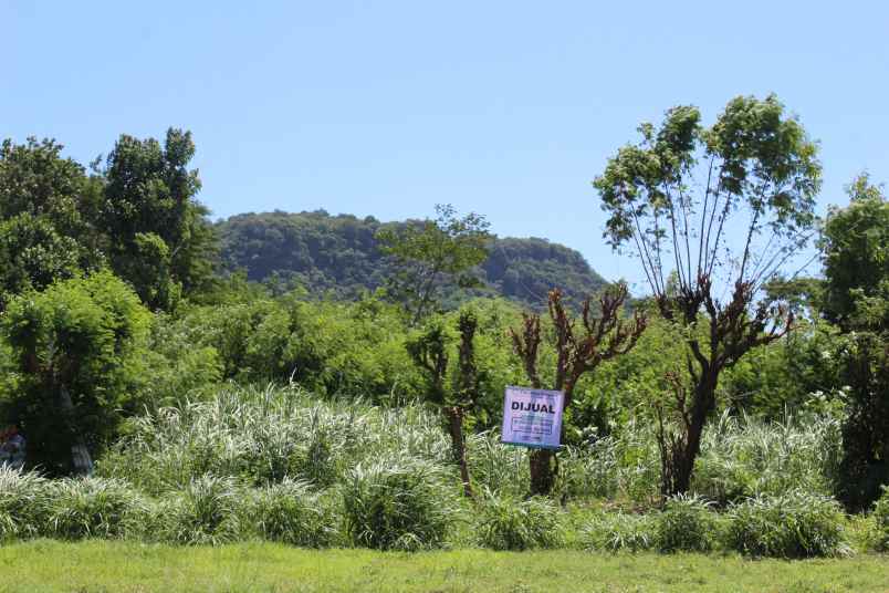 bwi a 438 dijual tanah di desa kalipuro