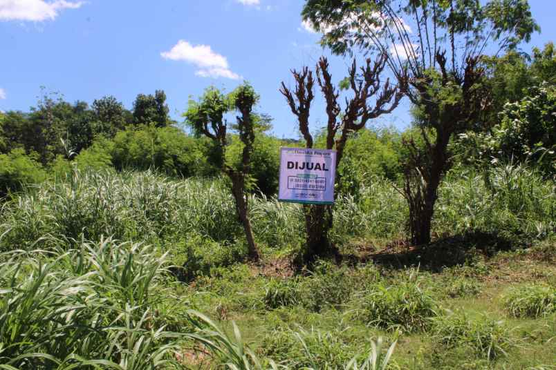 bwi a 438 dijual tanah di desa kalipuro