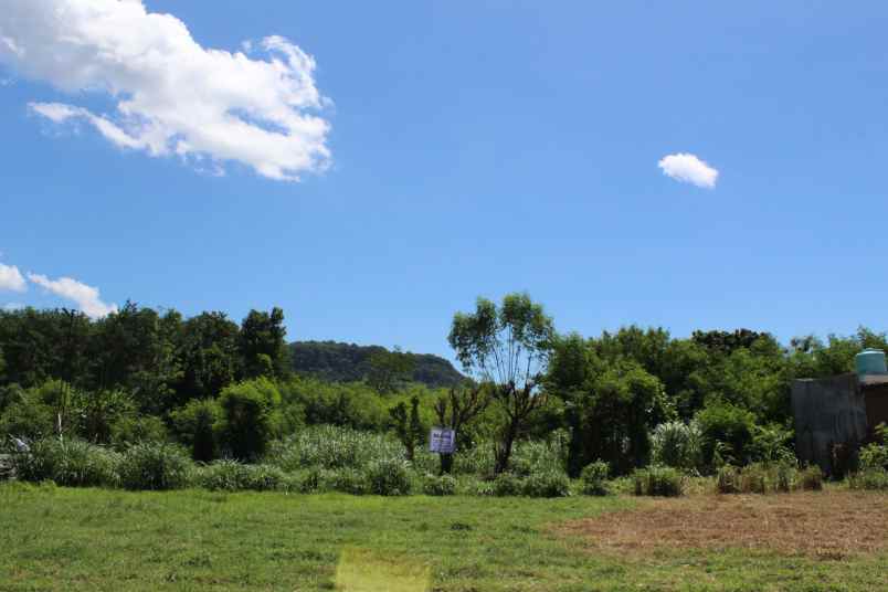 bwi a 438 dijual tanah di desa kalipuro