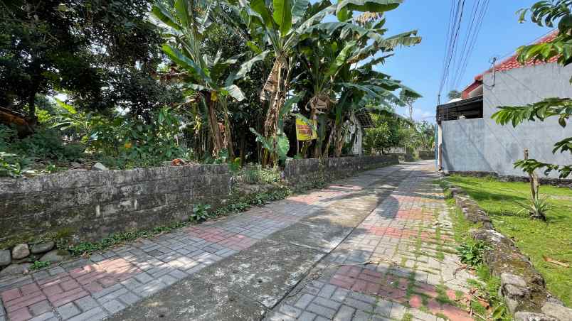 dekat selatan uii 226 m2 shm pekarangan 3 7 jt nego