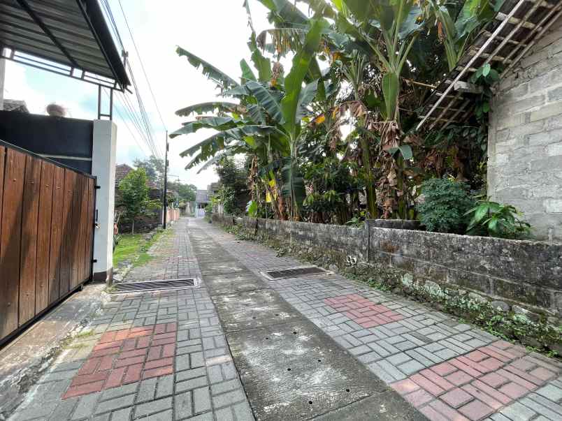 dekat selatan uii 226 m2 shm pekarangan 3 7 jt nego