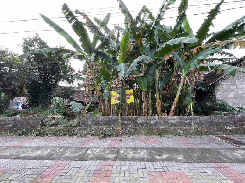 dekat selatan uii 226 m2 shm pekarangan 3 7 jt nego