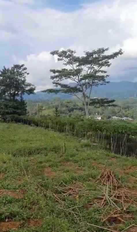 dijual cepat lahan untuk villa dekat summarecon bogor