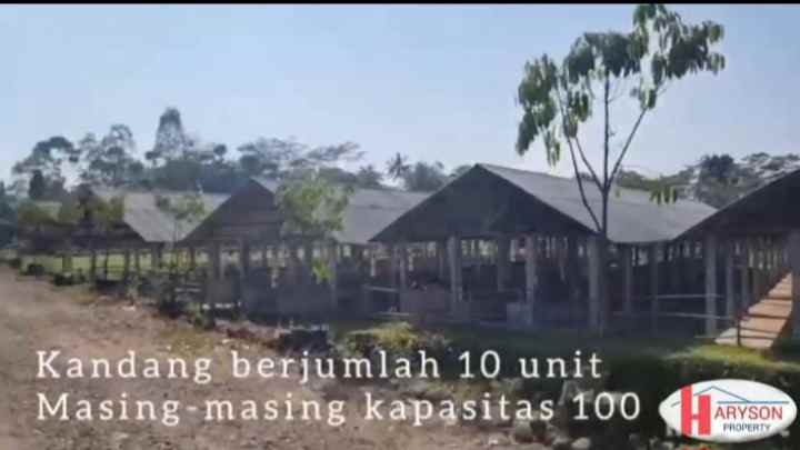 dijual kandang sapi 6 hektar di subang jabar