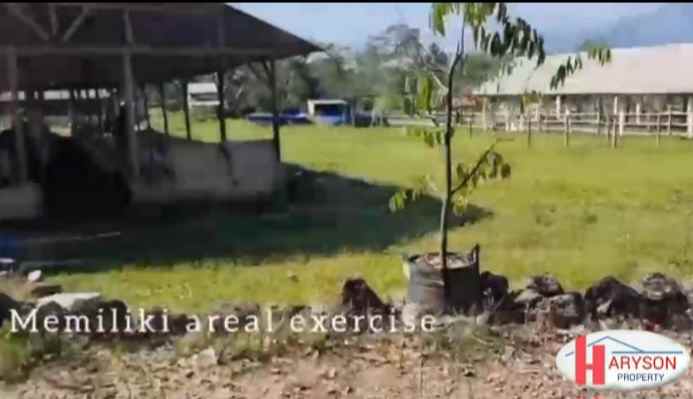 dijual kandang sapi 6 hektar di subang jabar
