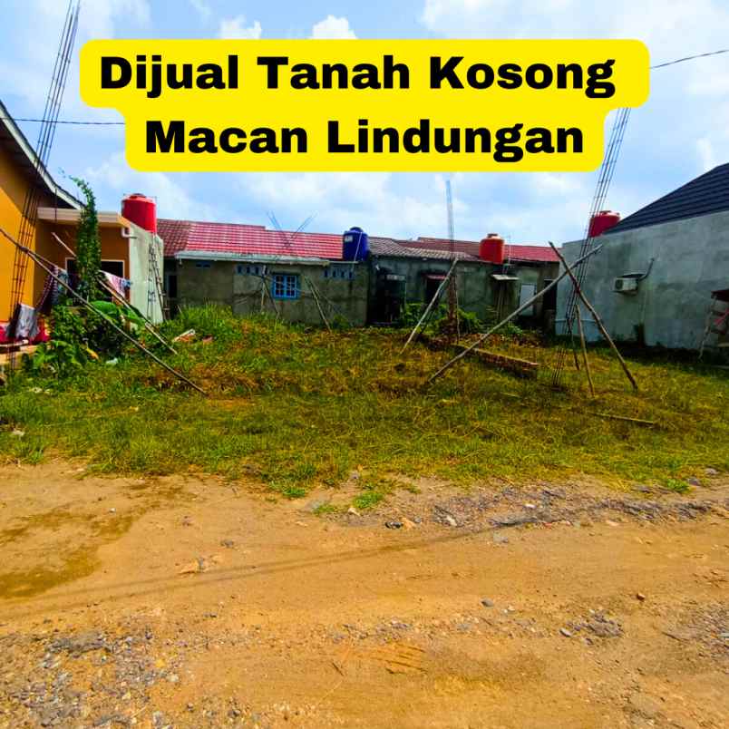 dijual kaplingan lokasi macan lindungan