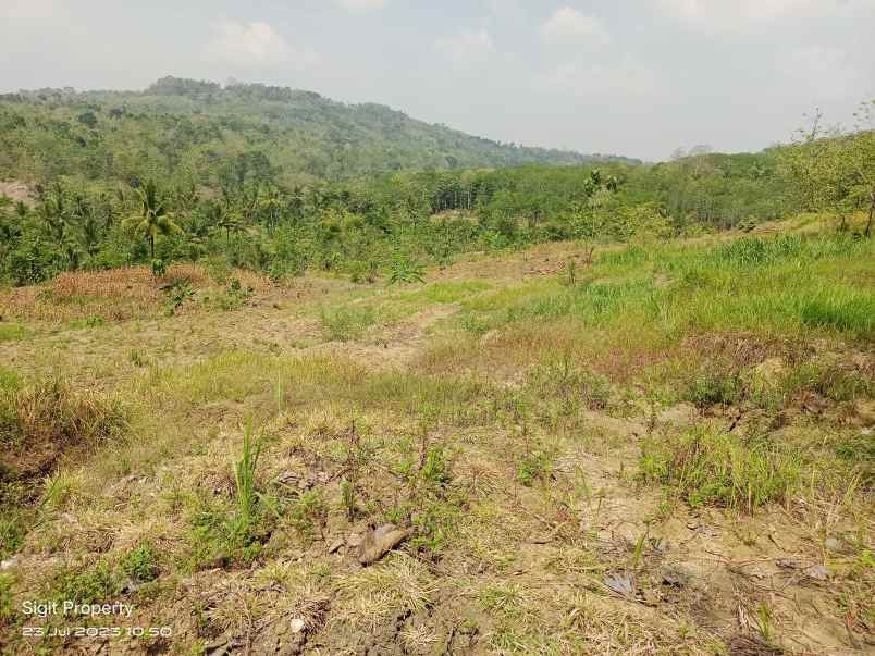 dijual murah tanah view pemandangan bagus