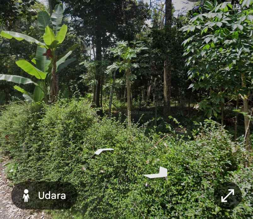 dijual pekarangan kanoman karangnongko