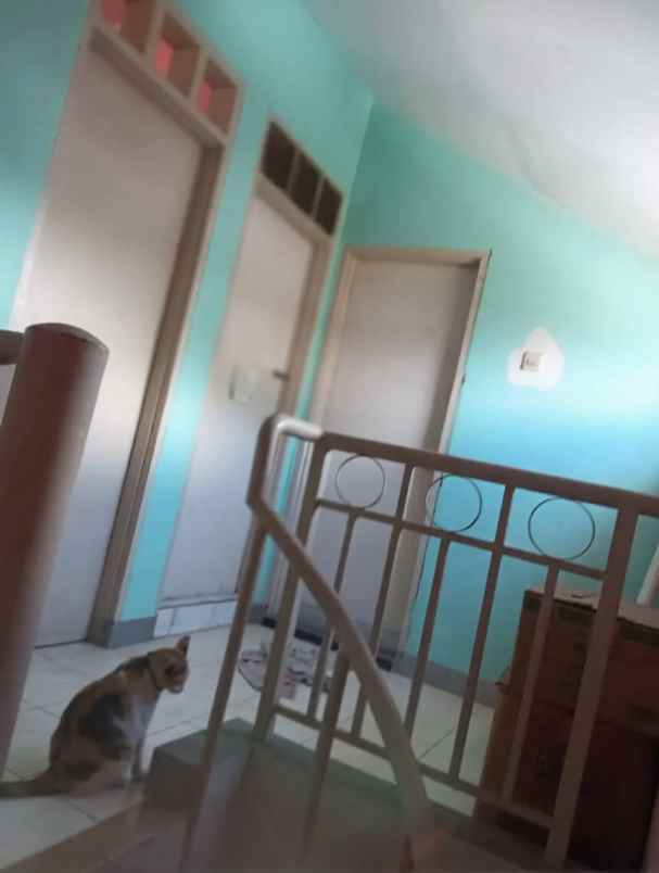 dijual ruko gudang kantor gwalk citraland