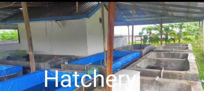 dijual ruko gudang kantor lakatong kec