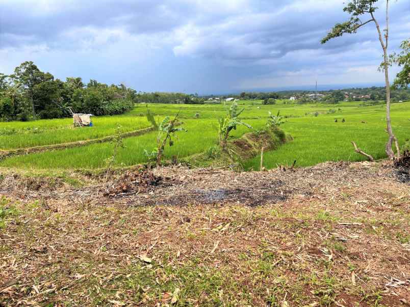 dijual rumah asri view sawah karanganyar