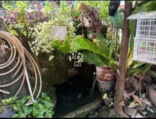 dijual rumah bu matraman jakpus