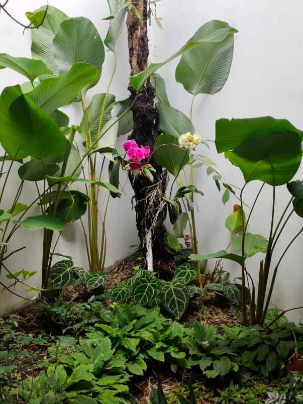 dijual rumah cluster my home arcamanik