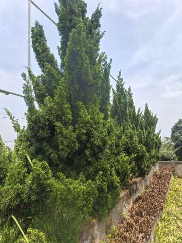 dijual rumah gondoriyo ngaliyan