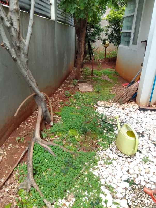 dijual rumah manggarai selatan