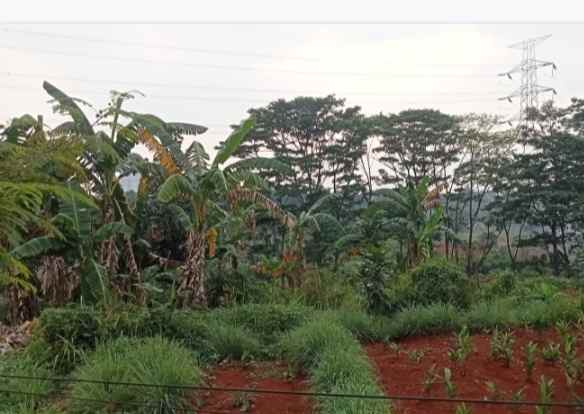 dijual tabah 120 hektar gunung putri kab bogor