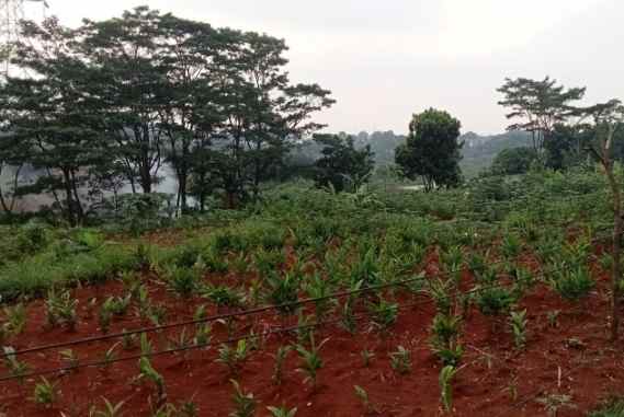 dijual tabah 120 hektar gunung putri kab bogor