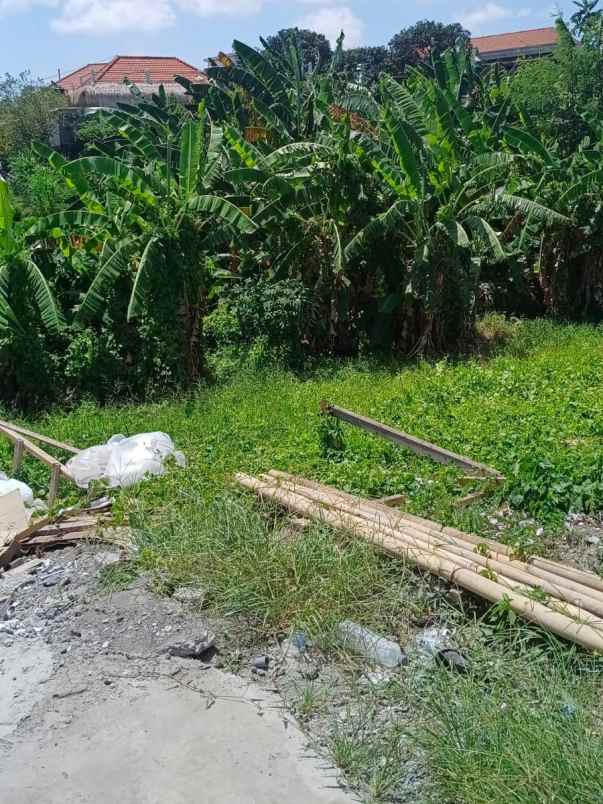 dijual tanah abasan berawa