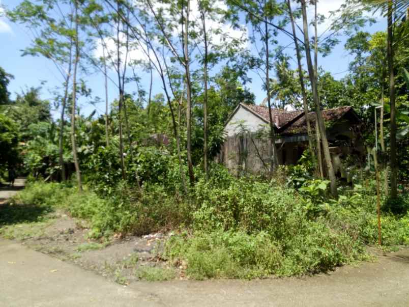 dijual tanah bantul