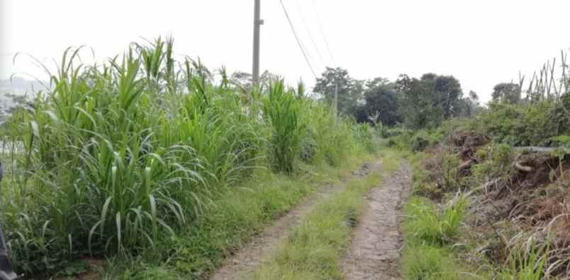 dijual tanah baturiti tabanan bali