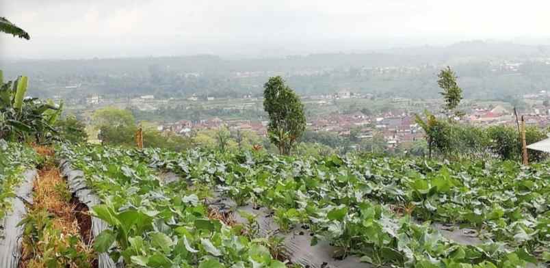 dijual tanah baturiti tabanan bali