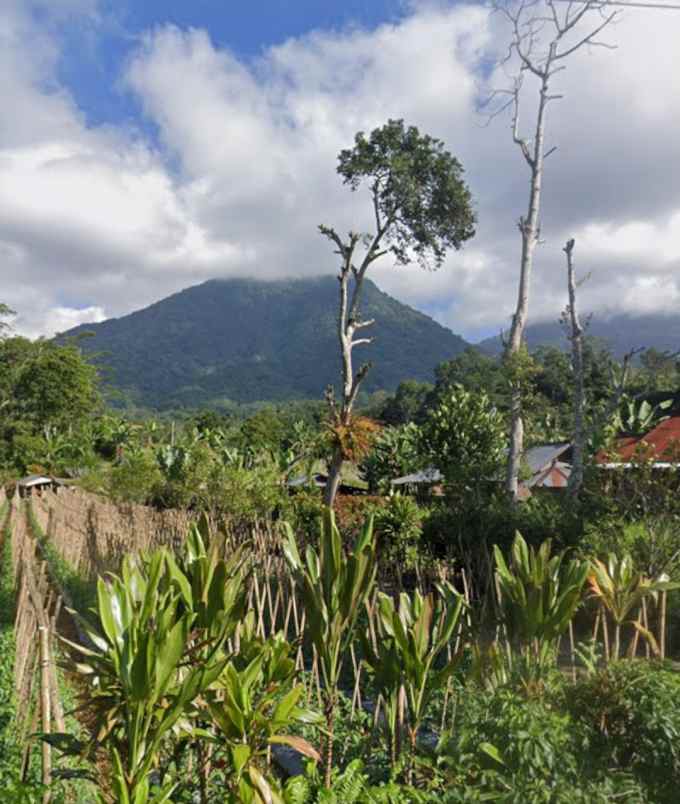 dijual tanah baturiti tabanan bali