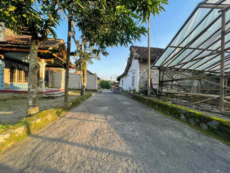 dijual tanah borangan kec manisrenggo