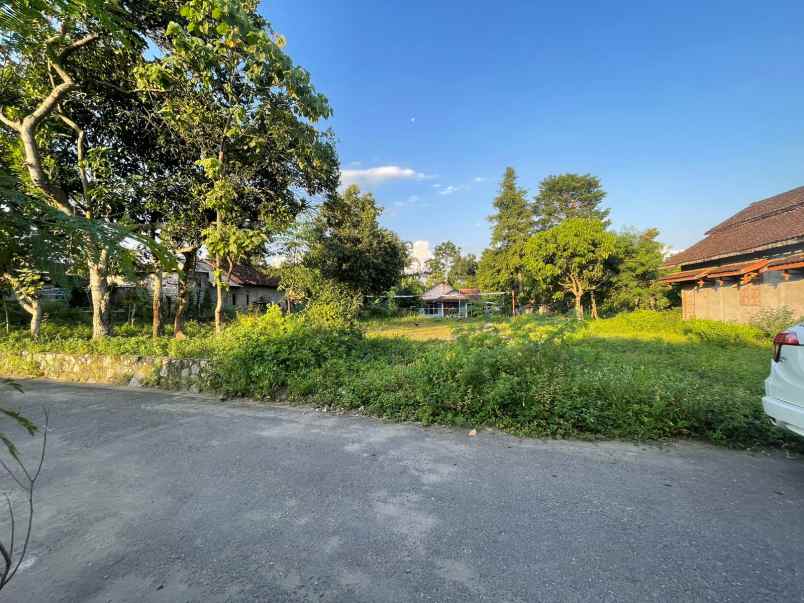 dijual tanah borangan kec manisrenggo