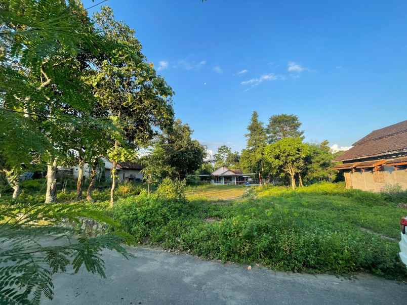 dijual tanah borangan kec manisrenggo