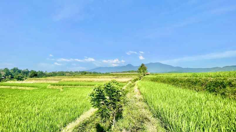 dijual tanah darangdan