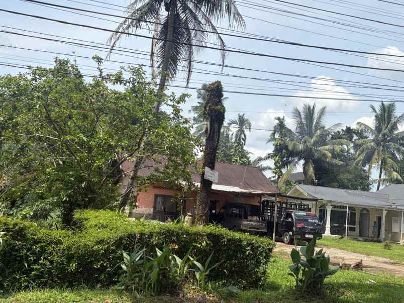 dijual tanah delitua