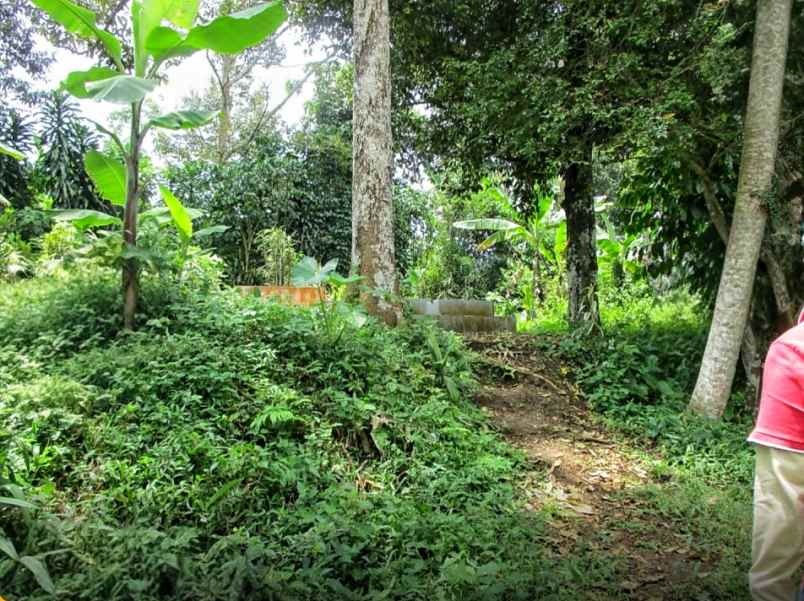 dijual tanah desa balekambang