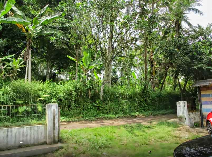 dijual tanah desa balekambang