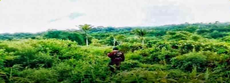 dijual tanah desa balekambang